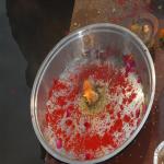 Vraj-Yatra-2014- (1120)